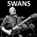 The Beautifully Bitter: Swans