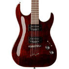 Washburn: X30