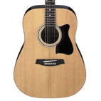 Ibanez: IJV50 Jumpstart