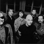 R.E.M, Screaming Trees Supergroup Tuatara Joined by Pearl Jam's Mike McCready, New Double Album Announced