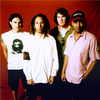 Rage Against The Machine Were Certainly An Active Band