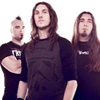 Would You Like to Be the New Evile Guitarist?