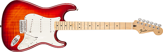 Fender Standard Series Stratocaster