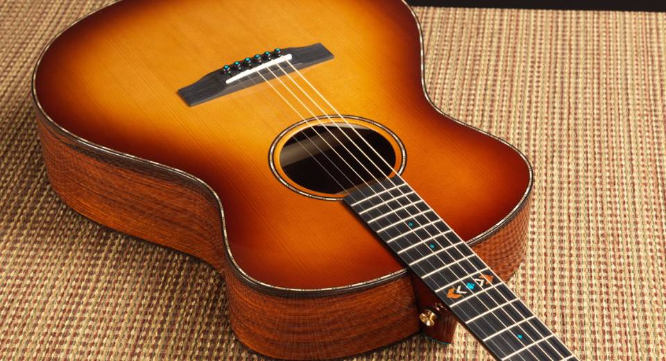 NAMM'17 Bedell Guitars Introduced Revolution Series Music News