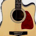 Ibanez: AW40CE