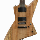 ESP: LTD FX-260