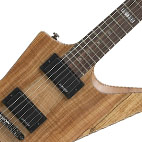 ESP: LTD FX-260SM