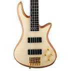 Schecter: Stiletto Custom-5