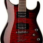 Washburn: X50PRO