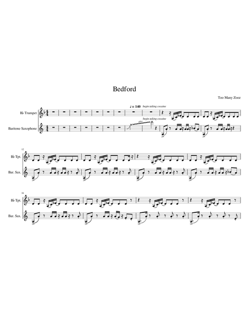 Bedford - Too Many Zooz