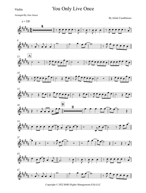 You Only Live Once (Arr. Alex Souza) - The Strokes (Violin Solo)