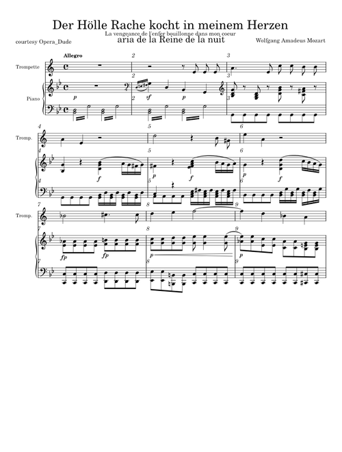 Der Hölle Rache kocht in meinem Herzen – Wolfgang Amadeus Mozart