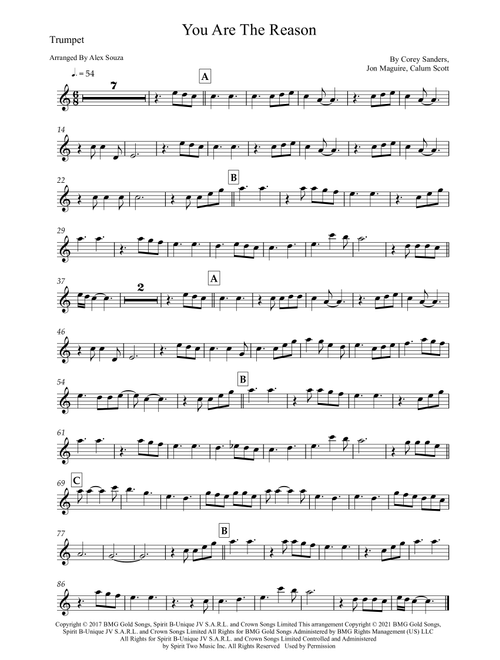 You Are The Reason (Arr. Alex Souza) - Calum Scott (Trumpet Solo)