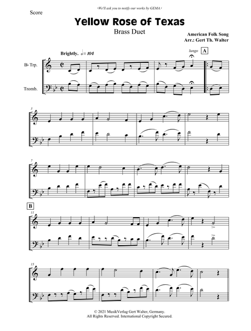 Yellow Rose of Texas (Arr. Gert Th. Walter) - American Folk Song (Instrumental Duet)