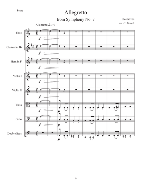 Beethoven Symphony 7, movement 2, abridged (Arr. Casey Bozell) - Ludwig van Beethoven (Chamber Orchestra)