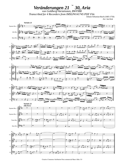 Bach, J.S. _ Goldberg-Variationen Var.21 to 30 and Aria