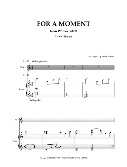 For A Moment (Arr. Mark Waters) - Neil Hannon (Flute and Piano)