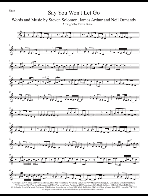 Say You Won't Let Go (Arr. Kevin Busse) - James Arthur (Flute Solo)