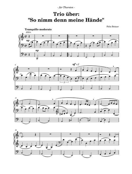 Trio über: "So nimm denn meine Hände" - Felix Bräuer (Instrumental Solo)