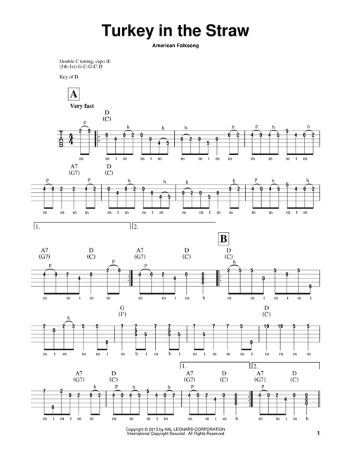 Turkey In The Straw (Arr. Michael Miles) - American Folksong (Banjo)