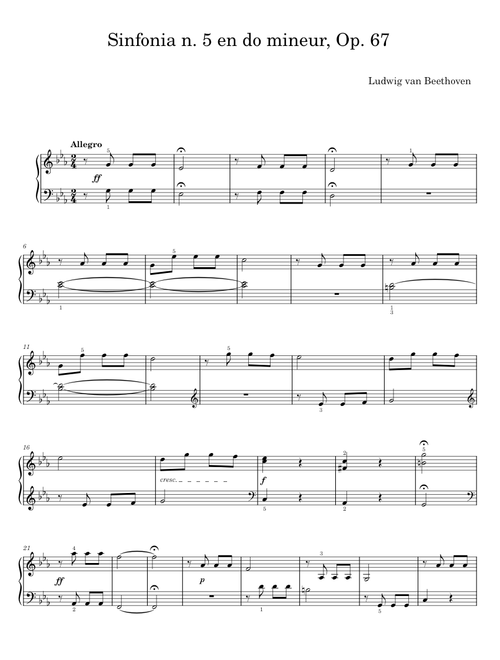 Sinfonia n. 5 en do mineur - Ludwig van Beethoven