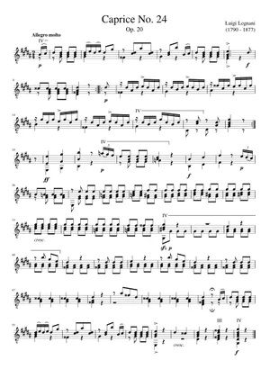 洋書・楽譜 ルイジ・レニャーニ 36のカプリス 洋書・楽譜 ルイジ・レニャーニ 36のカプリス Luigi Legnani