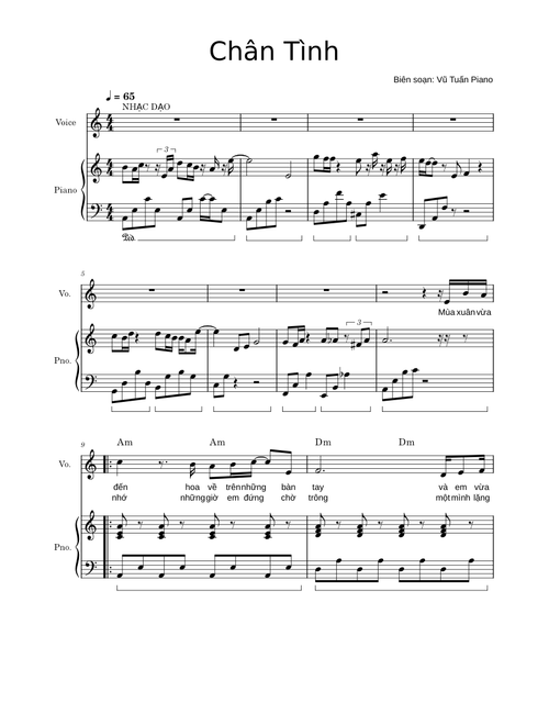 CHÂN TÌNH - VER 2