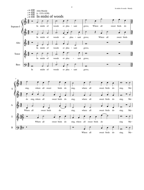 In midst of woods - John Mundy