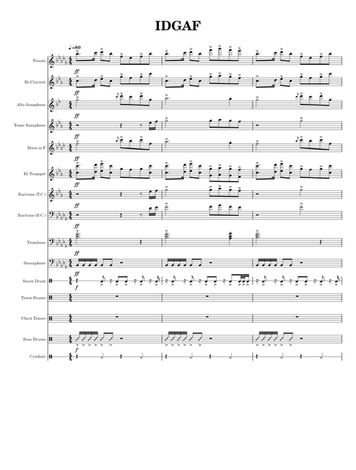 IDGAF – Southern Marching Band