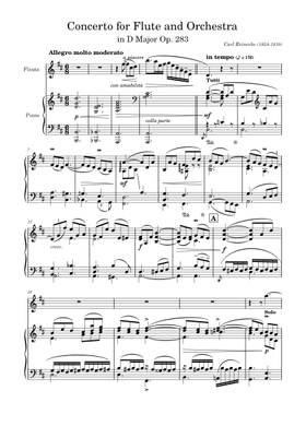 Free Concerto Flute And Orchestra In D Major Op. 283 by Carl