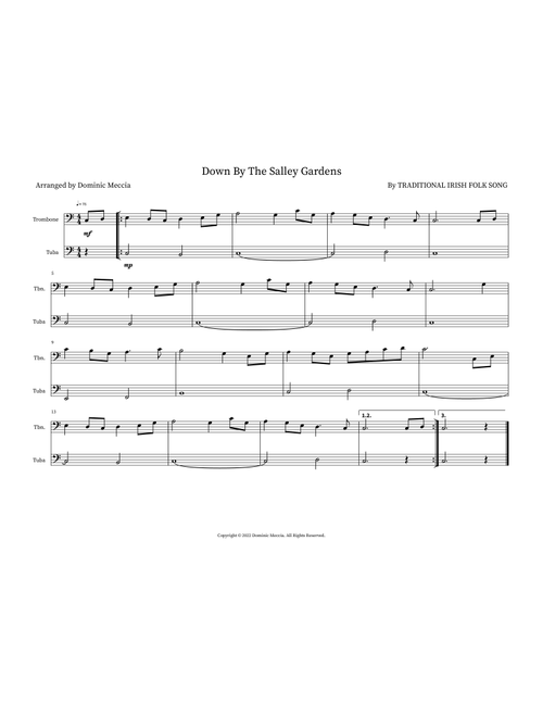 Down By The Salley Gardens (Arr. Dominic Meccia) - Traditional Irish Folk Song (Instrumental Duet)