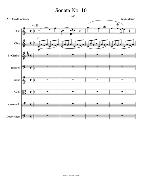 Mozart Sonanta No. 16 Woodwind & String Ensemble