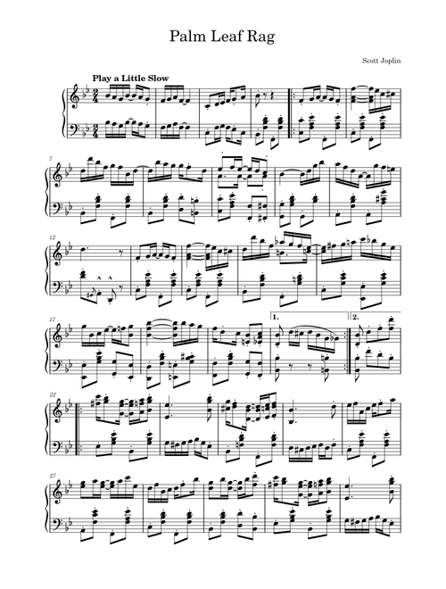 Palm_Leaf_Rag