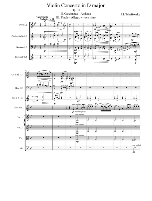 Tchaikovsky Violin Concerto in D major - 2nd and 3rd movement