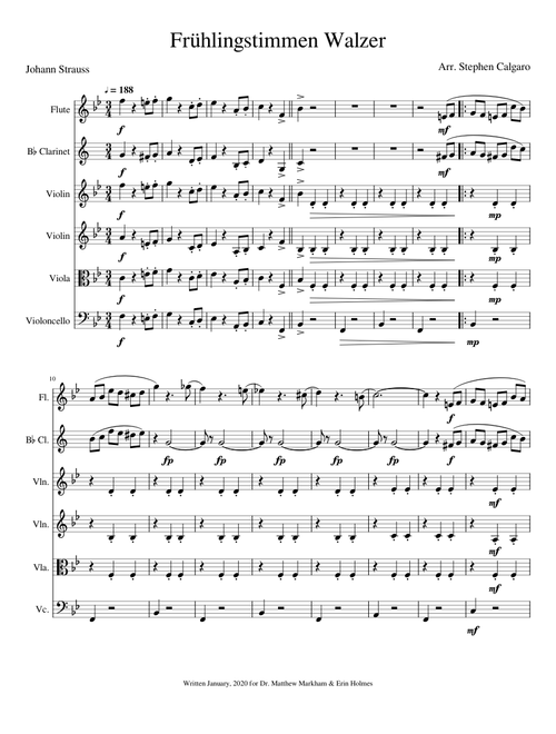 Frühlingsstimmen Walzer - Johann Strauss (Chamber Orchestra)