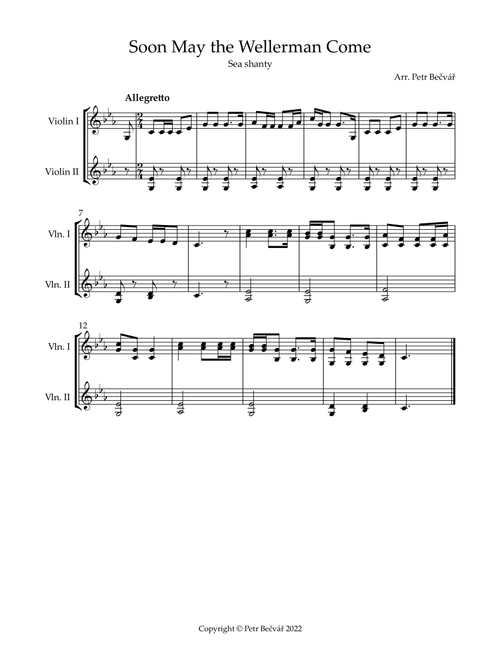 Soon May the Wellerman Come (Arr. Petr Bečvář) - Nathan Evans (Violin Duet)