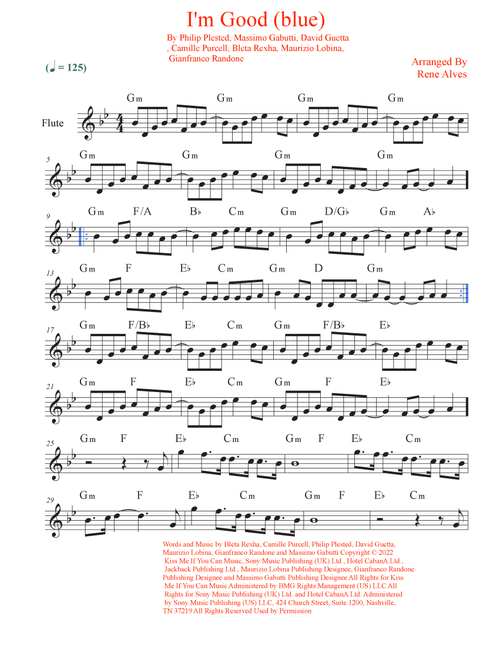 I'm Good (blue) (Arr. Rene Alves) - David Guetta & Bebe Rexha (Flute Solo)