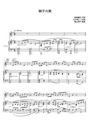 双子椰子の実 GKZ植物事典・フタゴヤシ（双子椰子）