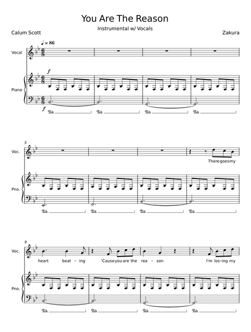 You are the reason - Calum Scott