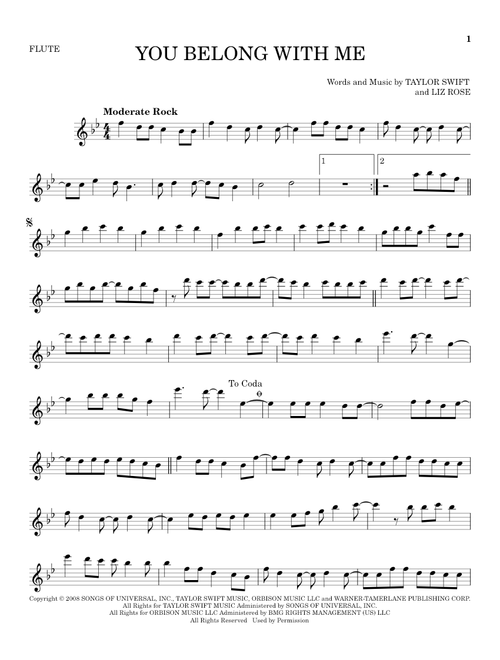 You Belong With Me - Taylor Swift (Flute Solo)
