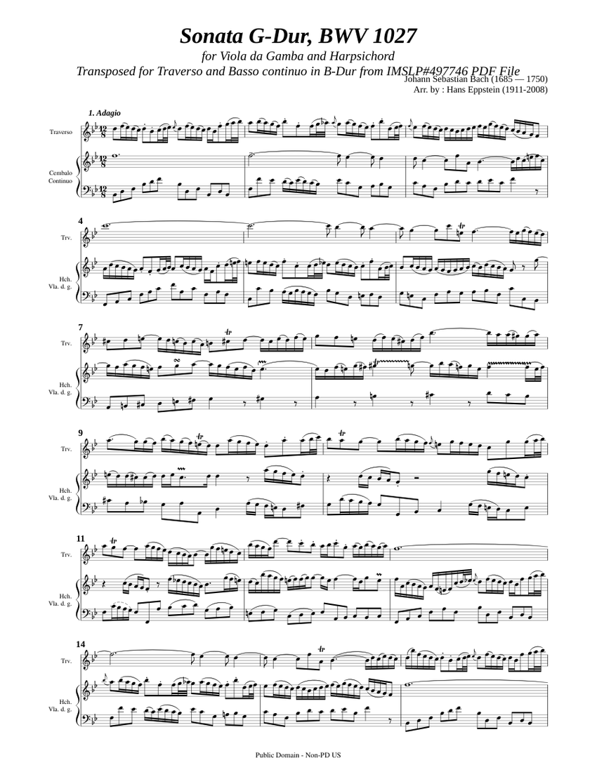 Schumann: Introduction & Allegro Appassionato for Piano