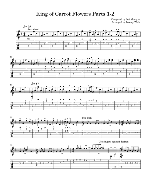 King of Carrot Flowers Parts 1-2 - Neutral Milk Hotel