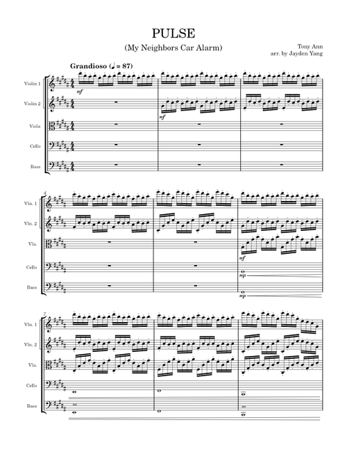 PULSE – Tony Ann