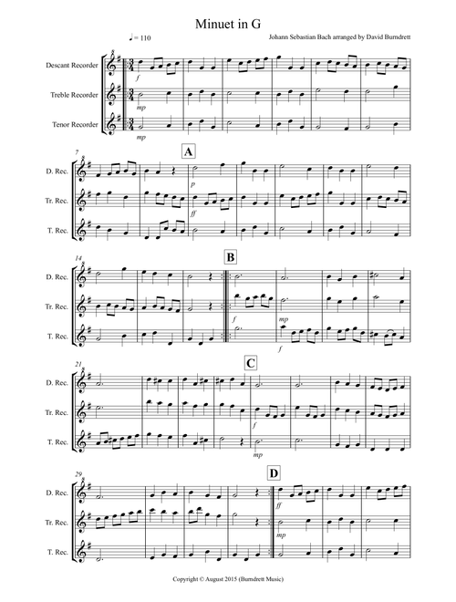 Minuet in G for Recorder Trio (Arr. David Burndrett) - Johann Sebastian Bach (Recorder Solo)