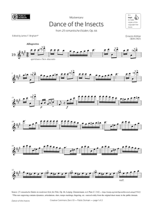 25 Romantic Etudes for Flute, Op. 66 – Ernesto Köhler Sheet Music