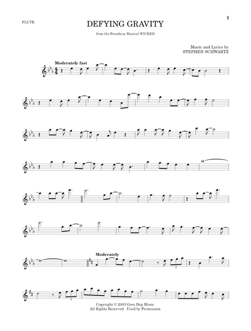 Defying Gravity (from Wicked) - Stephen Schwartz (Flute Solo)