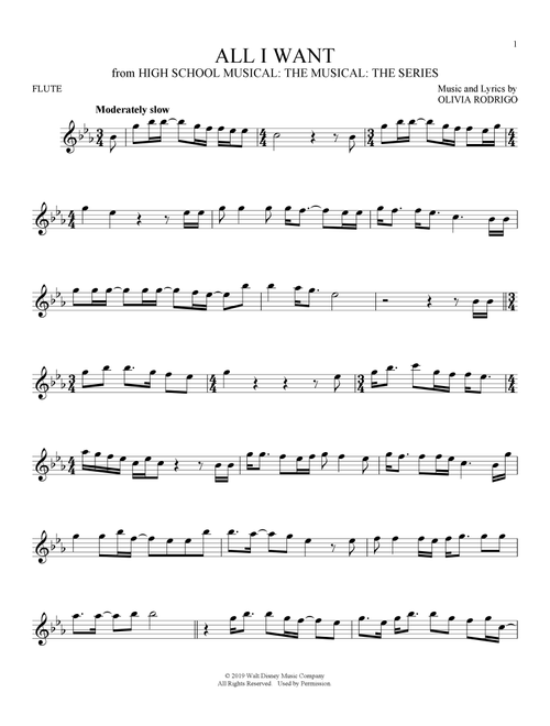 All I Want (from High School Musical: The Musical: The Series) - Olivia Rodrigo (Flute Solo)