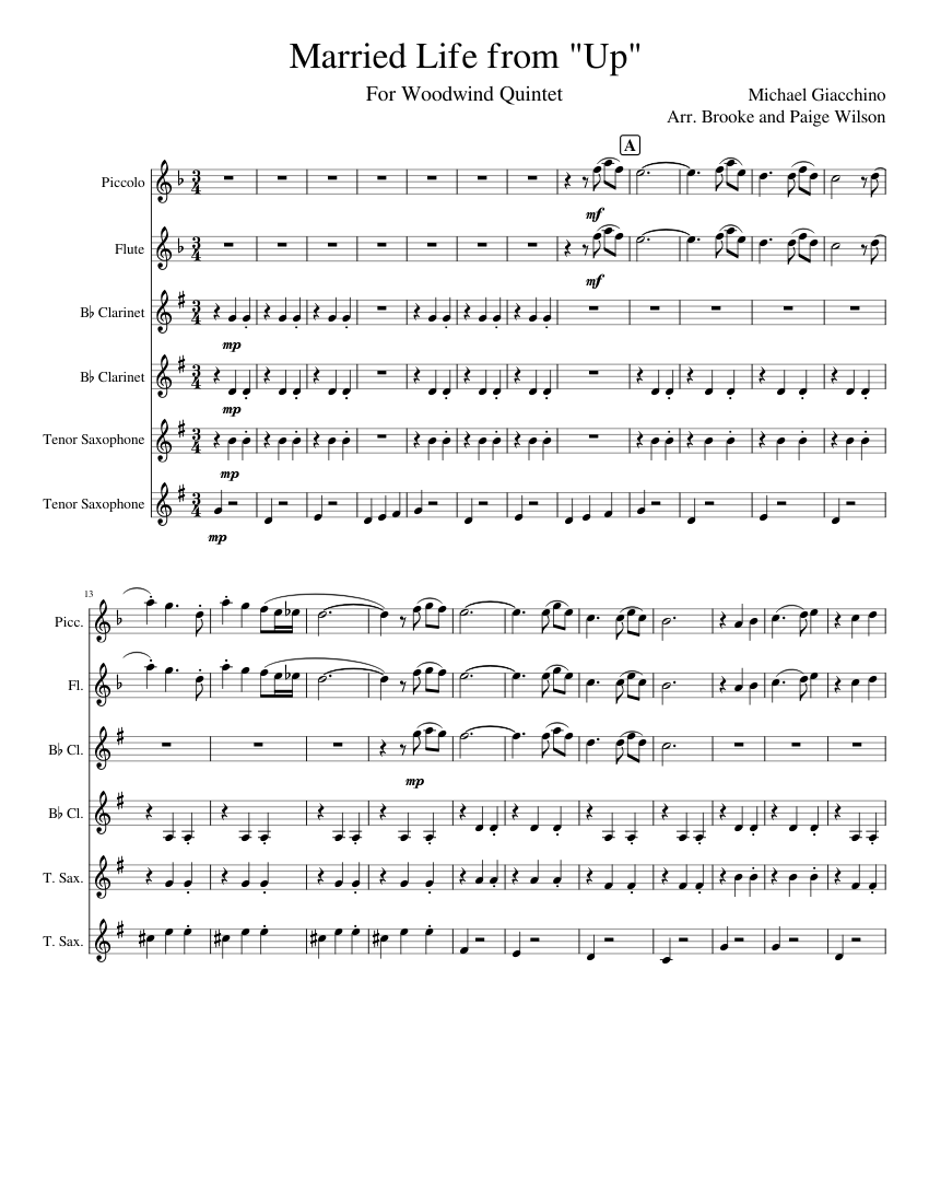 Married Life from Up Sheet music for Flute piccolo, Flute, in