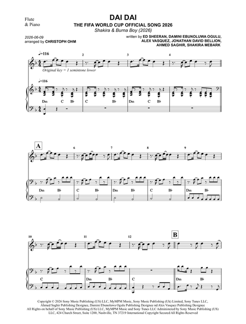 Dai Dai (Arr. Christoph Ohm) - Shakira & Burna Boy (Flute and Piano)