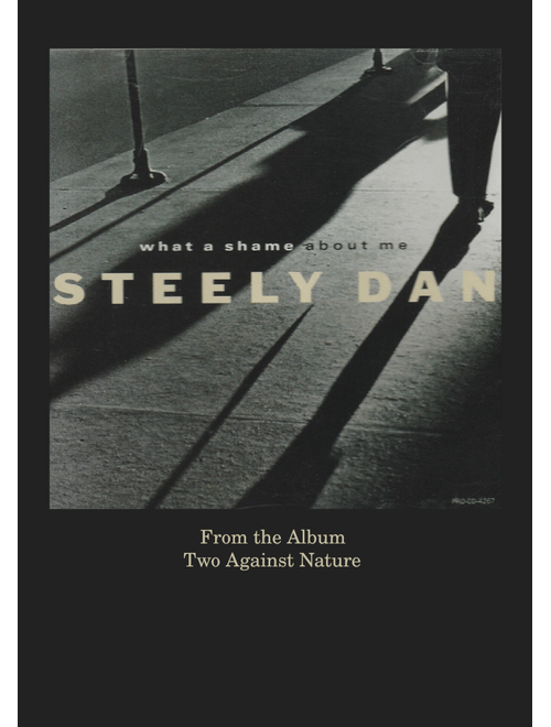 What a Shame About Me by Steely Dan